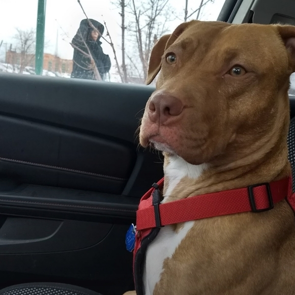 Meet your Posher, Terri - Picture 3 of 16